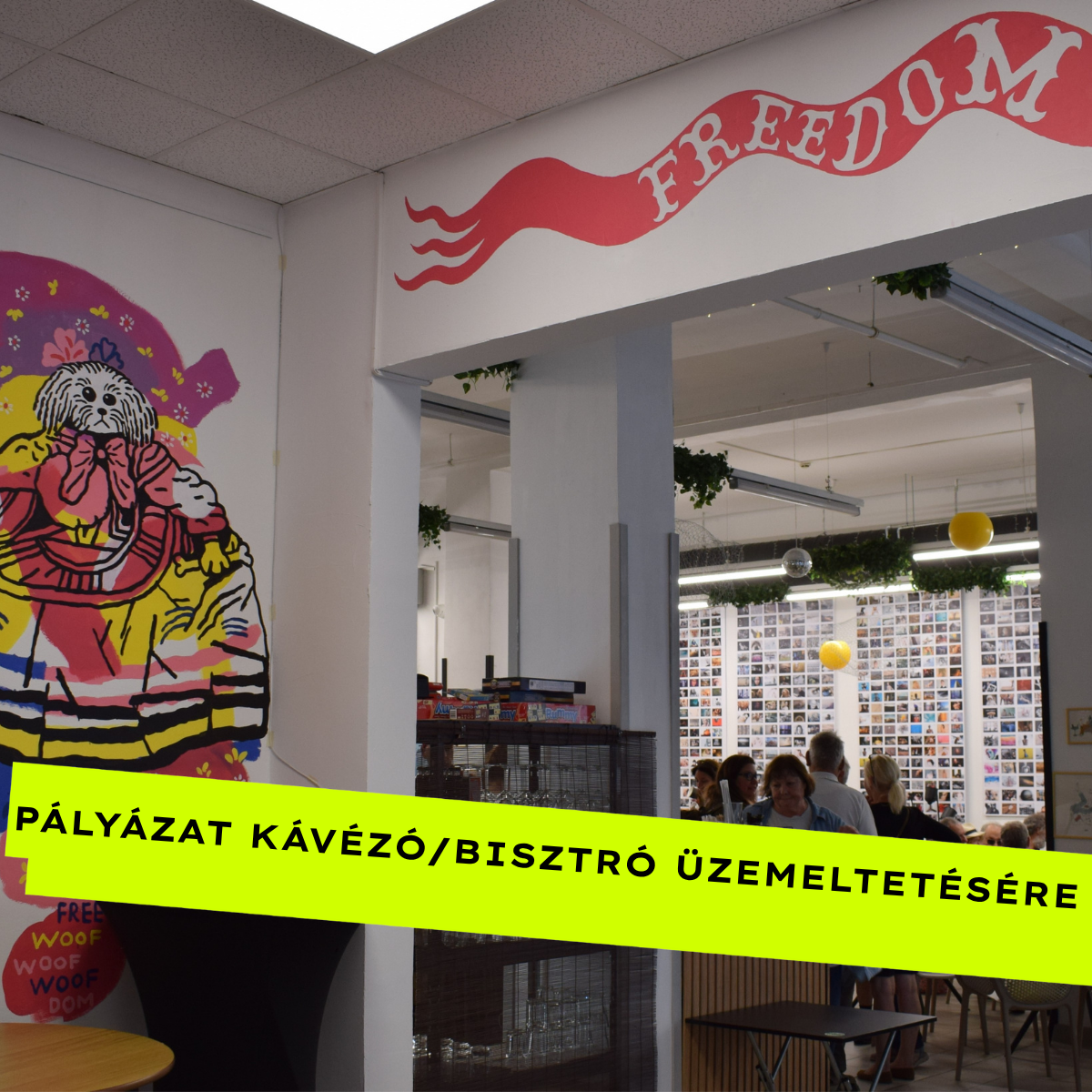 Pályázat